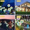 2pcs Solar Dandelion Lights Outdoor Decor, Outdoor Garden Decor Light - warm light