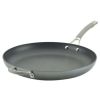 Introducing the 14 Inch Elementum Nonstick Frying Pan/Skillet with Helper Handle in Oyster Gray. - 14''